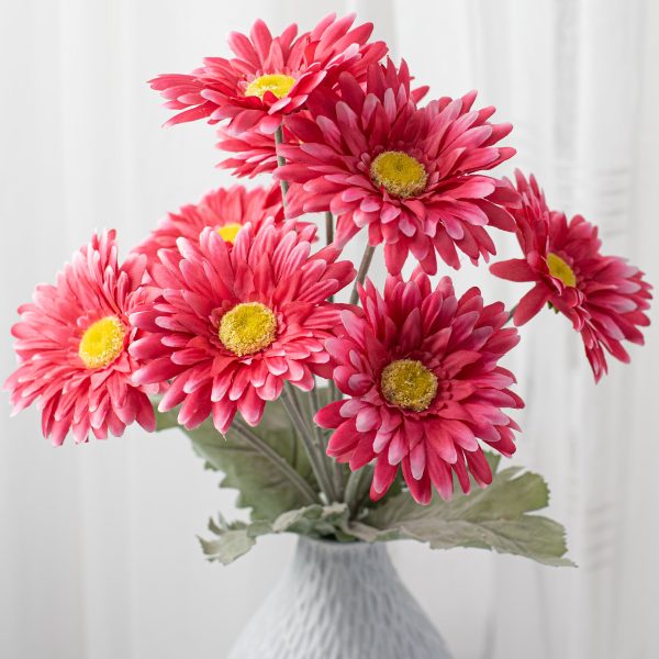 17  Gerbera Daisy Bush: Fuchsia Pink Online Sale