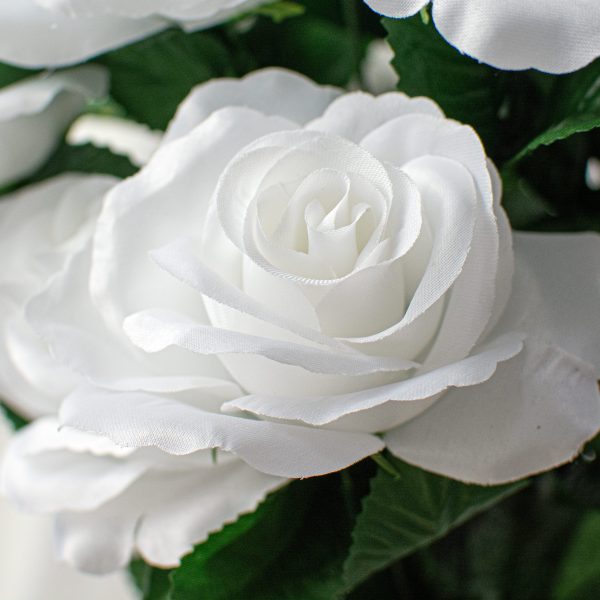 17  Colorfast Lillian Open Rose Bush (12): White Cheap