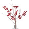 19  Ash Berries Wispy Twig Spray: Red For Discount