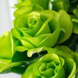 17  Colorfast Lillian Open Rose Bush: Lime Sale