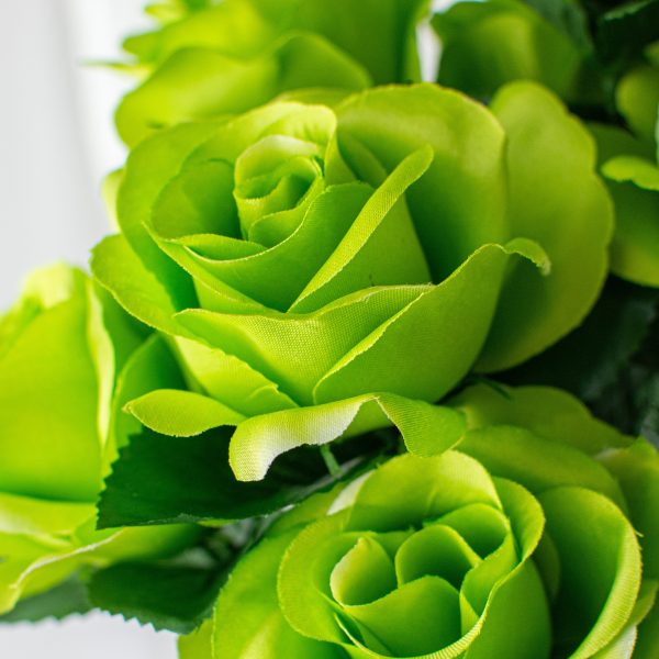 17  Colorfast Lillian Open Rose Bush: Lime Sale