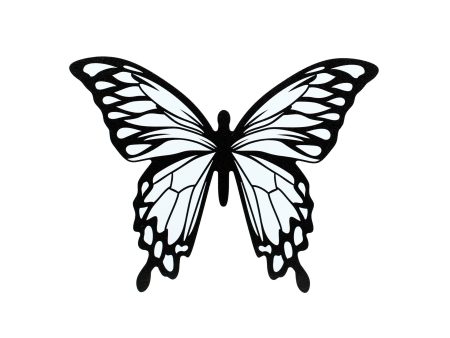 9  Waterproof Butterfly Acccent: Black & White Hot on Sale