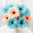 18  Gerbera Daisy Bush: Aqua & Coral Online Hot Sale