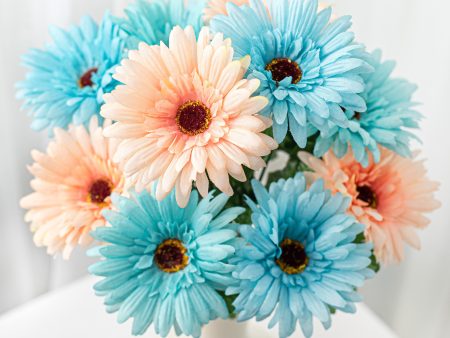 18  Gerbera Daisy Bush: Aqua & Coral Online Hot Sale