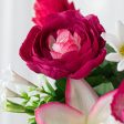 17  Lily Rose Bush: Fuchsia Pink Online