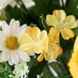 18  Rose & Daisy Bush: Yellow on Sale