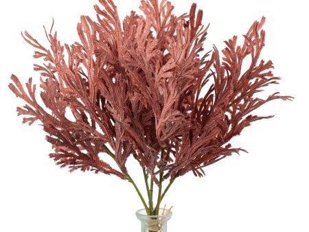 15  Staghorn Leaf Bundle: Maroon Burgundy Ombré Online now