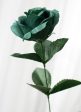 17  Colorfast Lillian Open Rose Bush (12): Emerald Green For Cheap