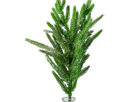 16  Frosted Fir Pine Branch Spray For Discount