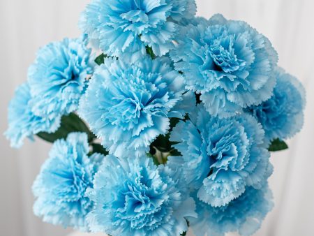 17  Colorfast Carnation Bush: Blue Hot on Sale