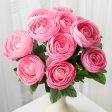 20  Ranunculus Bush: Pink (12 Stem) For Sale