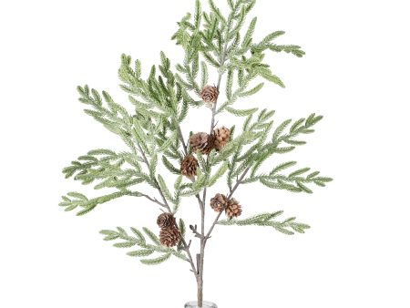 34  Cypress Pinecone Branch: Light Green Sale