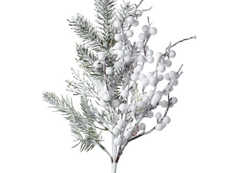 18  Snow Berry Pine Pick For Discount