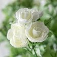 17  Mini Ranunculus Bush: Cream Cheap