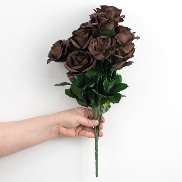 17  Colorfast Lillian Open Rose Bush (12): Chocolate Brown For Cheap