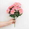 17  Colorfast Carnation Bush: Pink Online