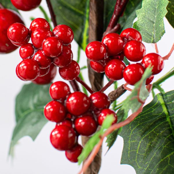 15  Holly Berry Pick: Red Online now