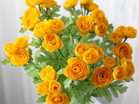 17  Mini Ranunculus Bush: Yellow Online