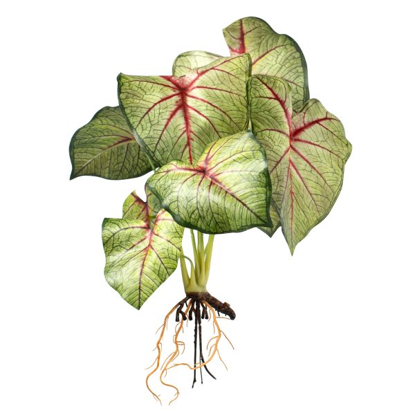 17  Artificial Caladium Plant: Green & Burgundy Sale