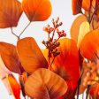 18  Eucalyptus Bush: Orange & Rust Online