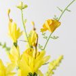 18  Forsythia and Heather Bush: Yellow Online Hot Sale