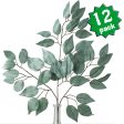 23  Ficus Leaf Spray: Light Sage Green (12) Online Sale