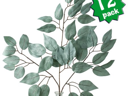 23  Ficus Leaf Spray: Light Sage Green (12) Online Sale