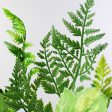 16  Fern & Leaves Pick Online