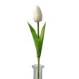 15  Foamy Tulip Bud Stem: White Online