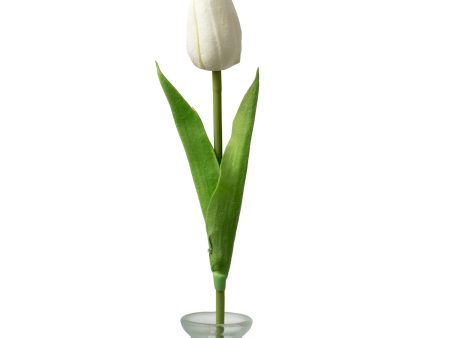 15  Foamy Tulip Bud Stem: White Online