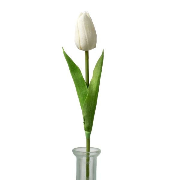 15  Foamy Tulip Bud Stem: White Online