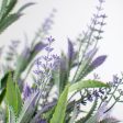 23  Lavender Bush Online now