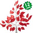 23  Ficus Leaf Spray: Red (12) Online