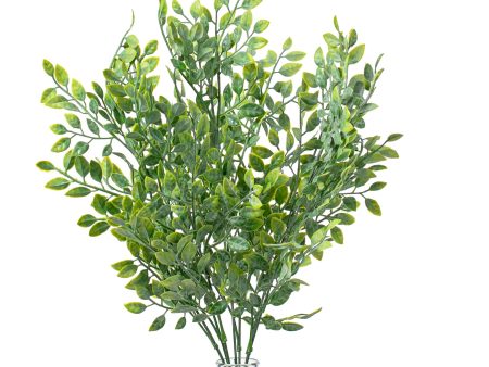 17  Green Leaf Foliage Bush Online