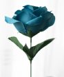 17  Colorfast Lillian Open Rose Bush (12): Teal Blue Online Sale