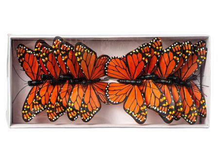 4  Feather Monarch Butterfly Picks: Orange (12) Online now