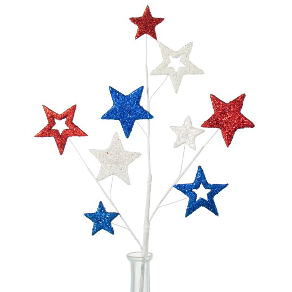 23  Glitter Star Spray: Red, White & Blue Online Sale