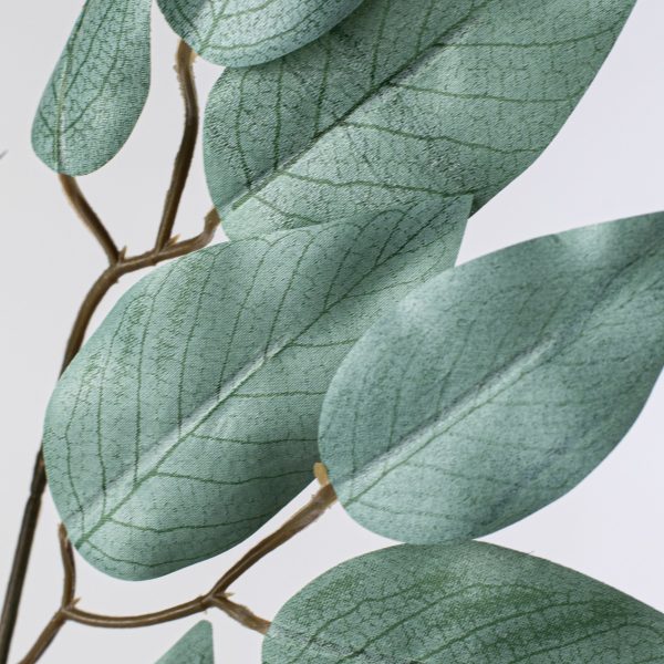 23  Ficus Leaf Spray: Light Sage Green (12) Online Sale