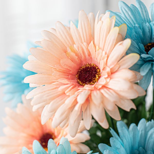 18  Gerbera Daisy Bush: Aqua & Coral Online Hot Sale