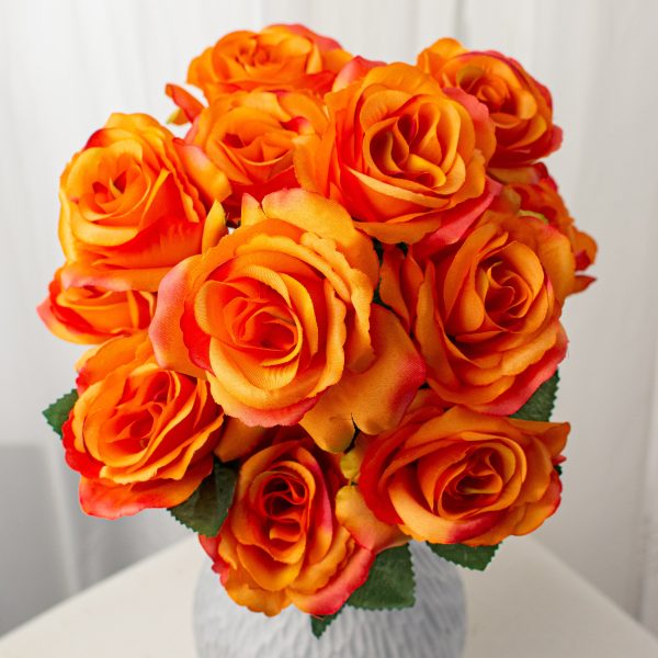 17  Colorfast Lillian Open Rose Bush: Orange For Cheap