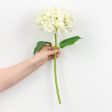 19  Deluxe Mophead Hydrangea Spray: Ivory, Cream Online Hot Sale