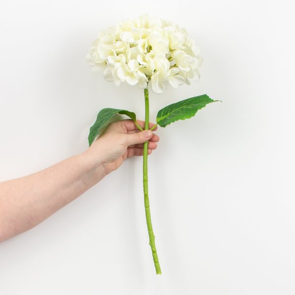 19  Deluxe Mophead Hydrangea Spray: Ivory, Cream Online Hot Sale