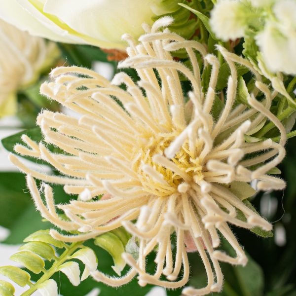 17  Magnolia & Protea Bush: Cream White Online Hot Sale