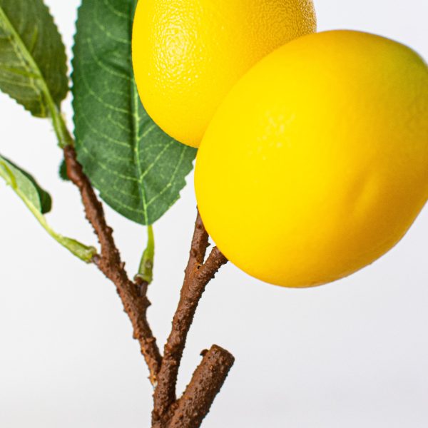 10  Lemon Pick Online