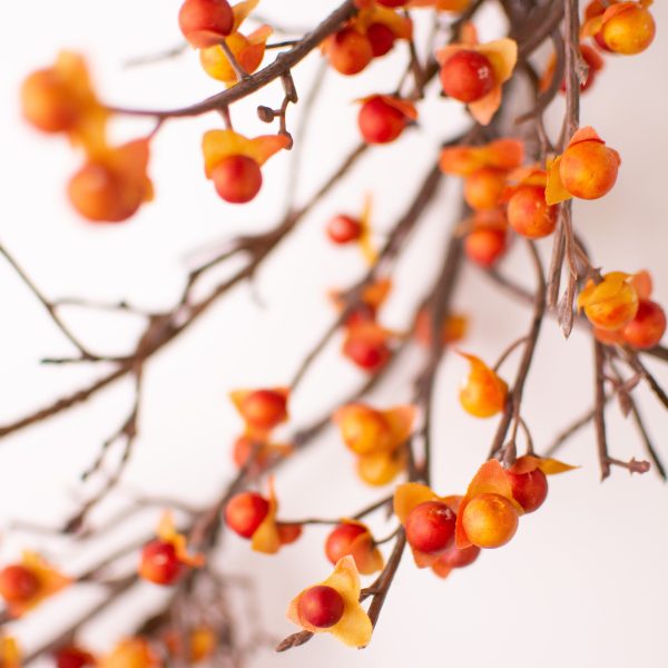 5  Bittersweet Garland: Fall For Cheap