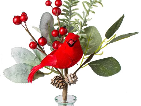 10  Berry, Eucalyptus, Pinecone Bird Pick: Red Online now