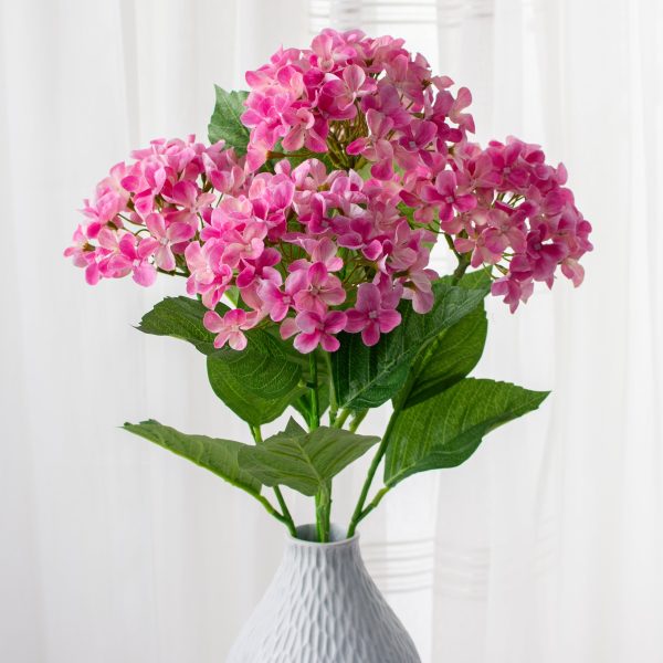 23  Hydrangea Bush: Fuchsia Pink Online Sale