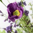 21  Poppy Flower Spray: Purple Supply