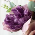 17  Rose, Peony, Lavender Bush: Purple For Discount