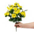 17  Colorfast Daisy Mix Bush: Yellow Online